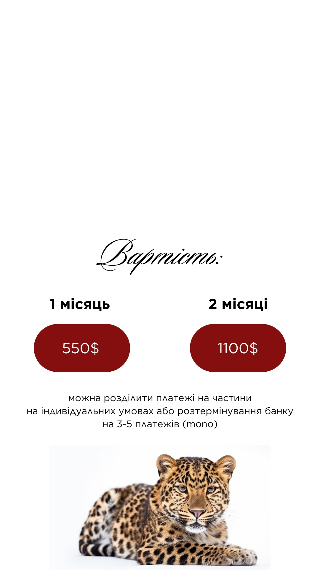 Текст абзацу, копія, копія (9)